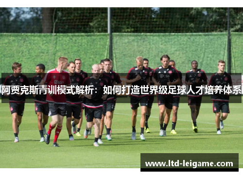 阿贾克斯青训模式解析:如何打造世界级足球人才培养体系 阿贾克斯青训模式解析:如何打造世界级足球人才培养体系